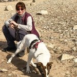 PaulaM Tantriker/in aus Essen